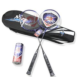 探秘李永波羽毛球拍 价格、专卖店及使用体验全解析