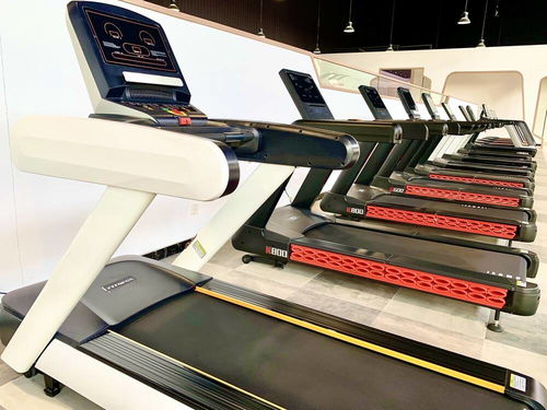 德州行 运河文化、书画艺术与扎染魅力